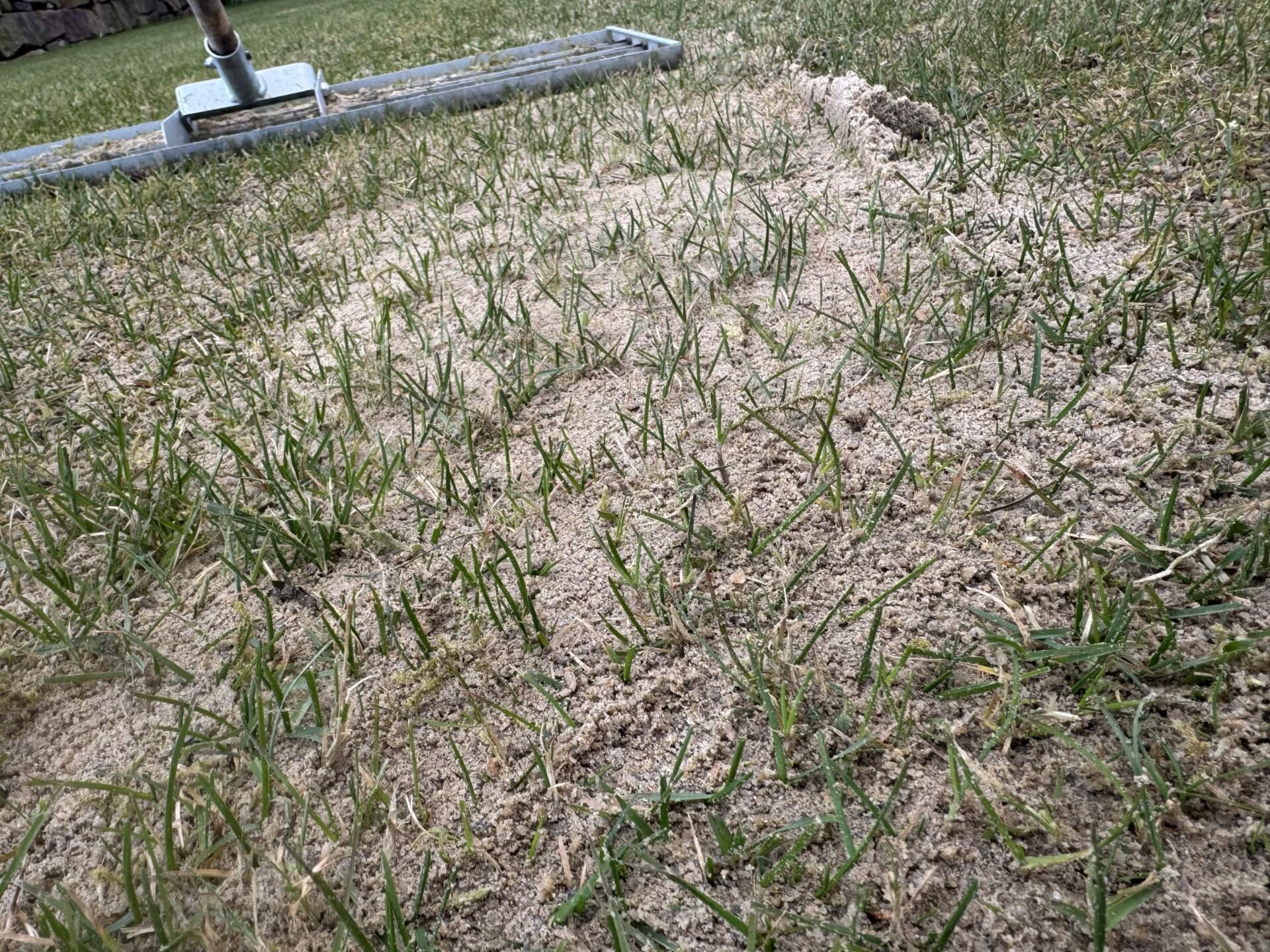 Vasket toppdressing sand